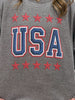 Embroidered USA Print Graphic Sweatshirt