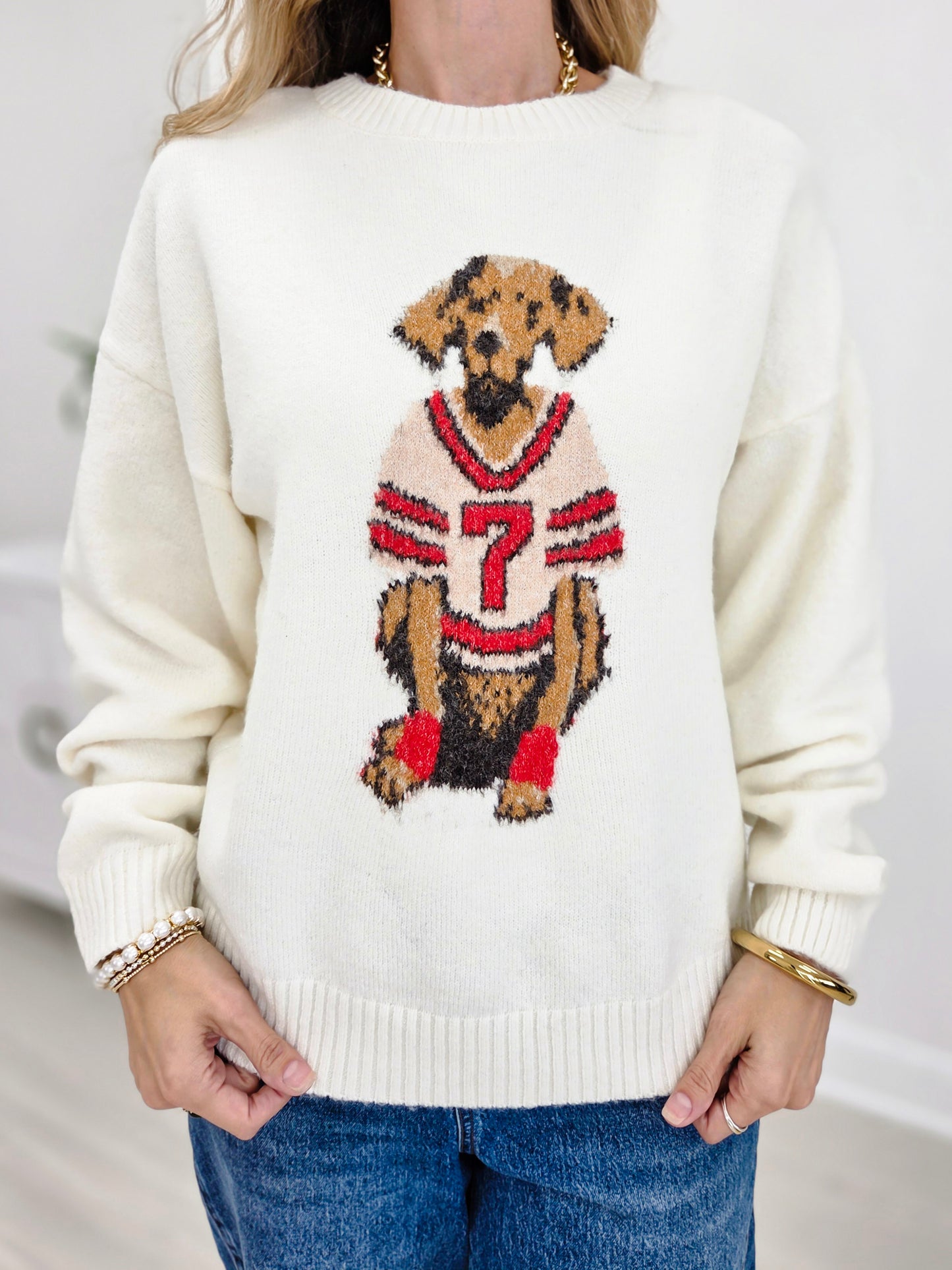 Cozy Sports Dog Graphic Knit Sweater