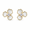 Mother of Pearl Flower Earring