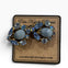Enchanted Evening Robin Egg Earrings