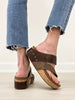 Pierre Dumas Tricia-3 Sandals in Brown