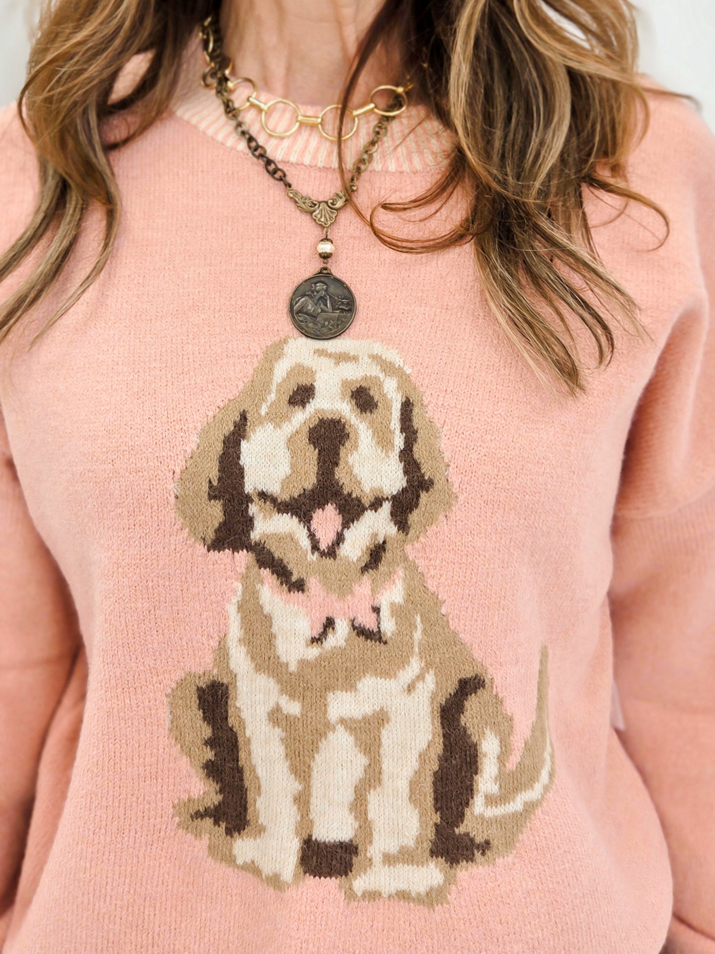Cute Dog Intarsia Knit Sweater