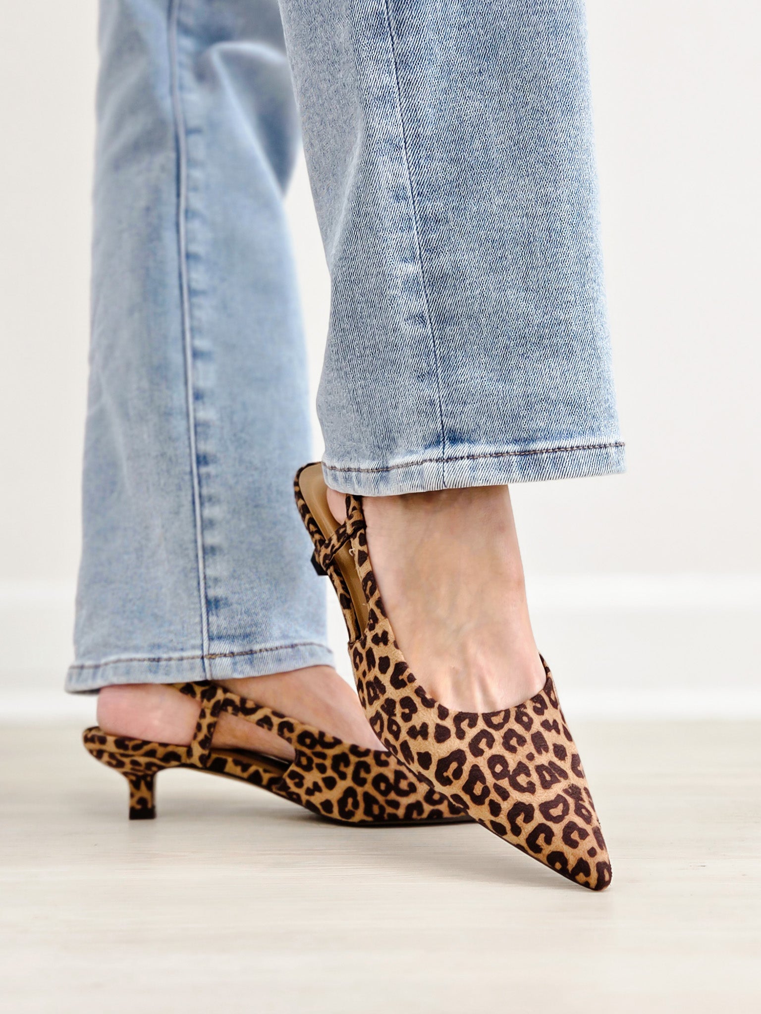 Corky's Kit N Caboodle-Leopard