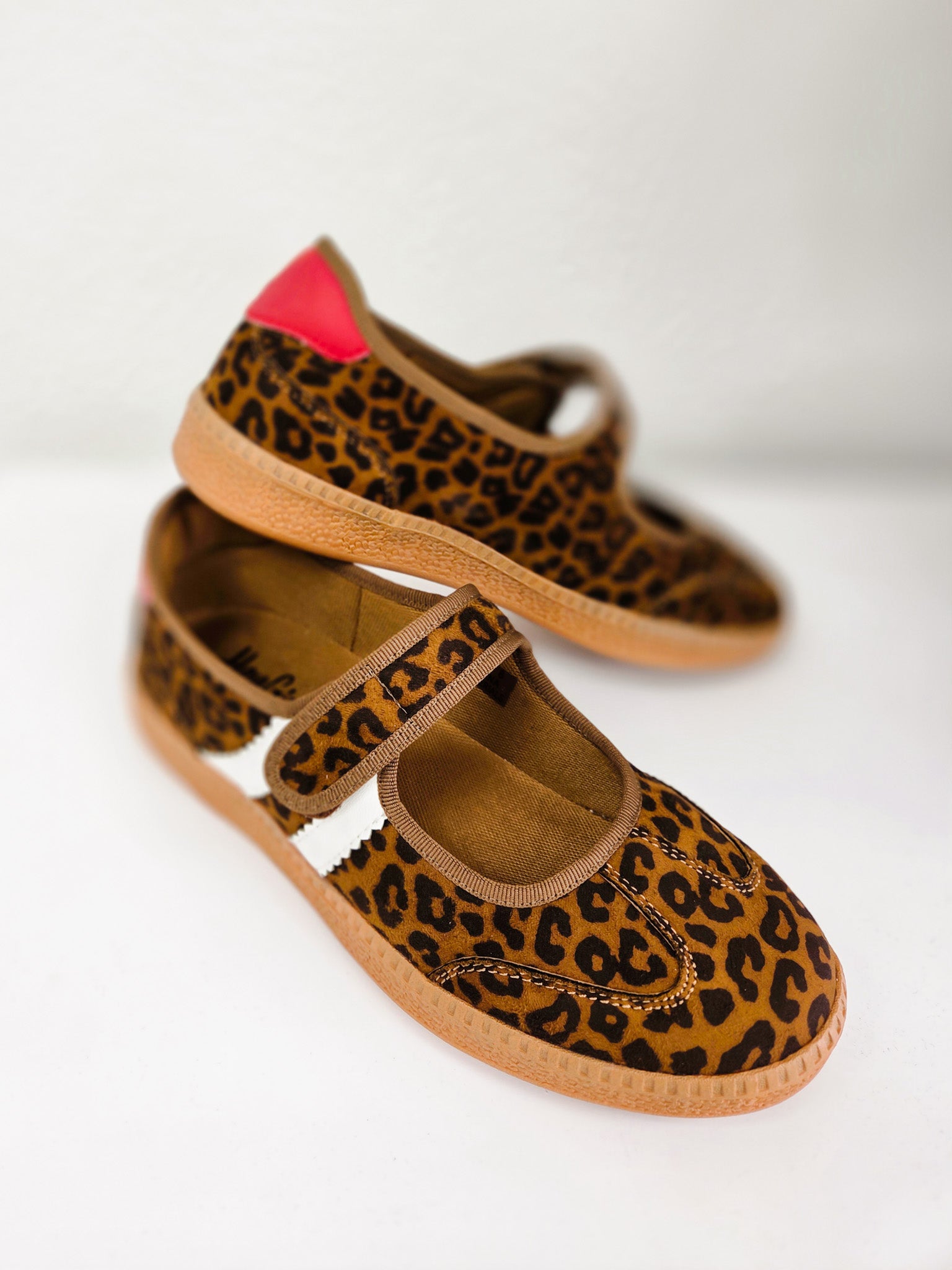 Corky's Calm Down-Leopard