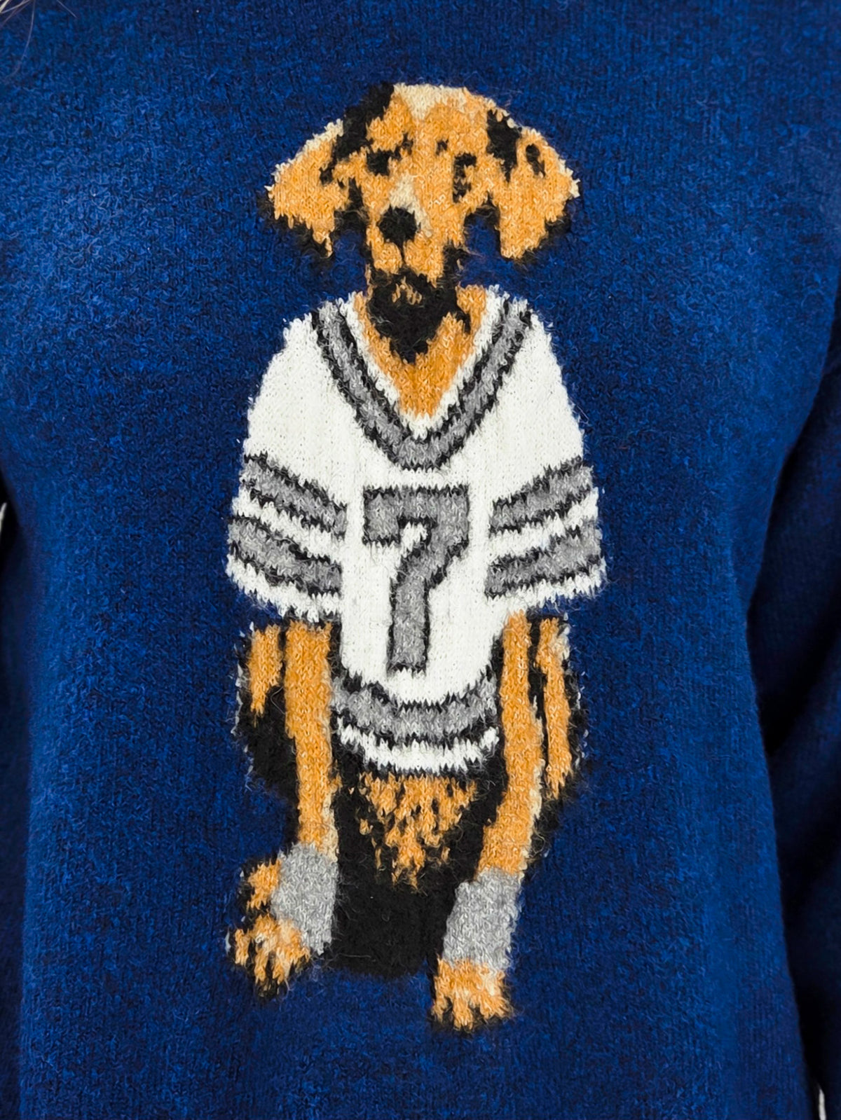 Cozy Sports Dog Graphic Knit Sweater