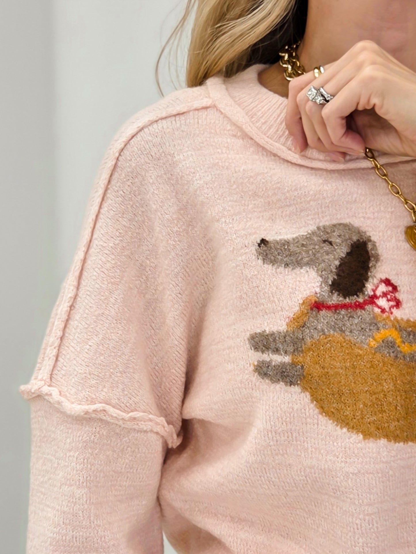 Hot Dog Dog Graphic Sweater