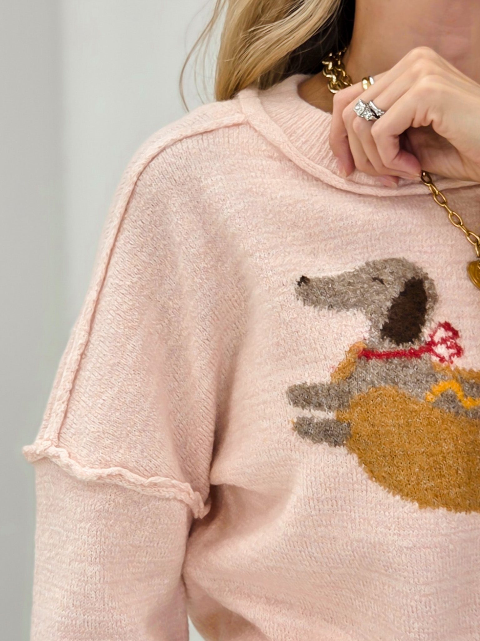 Hot Dog Dog Graphic Sweater