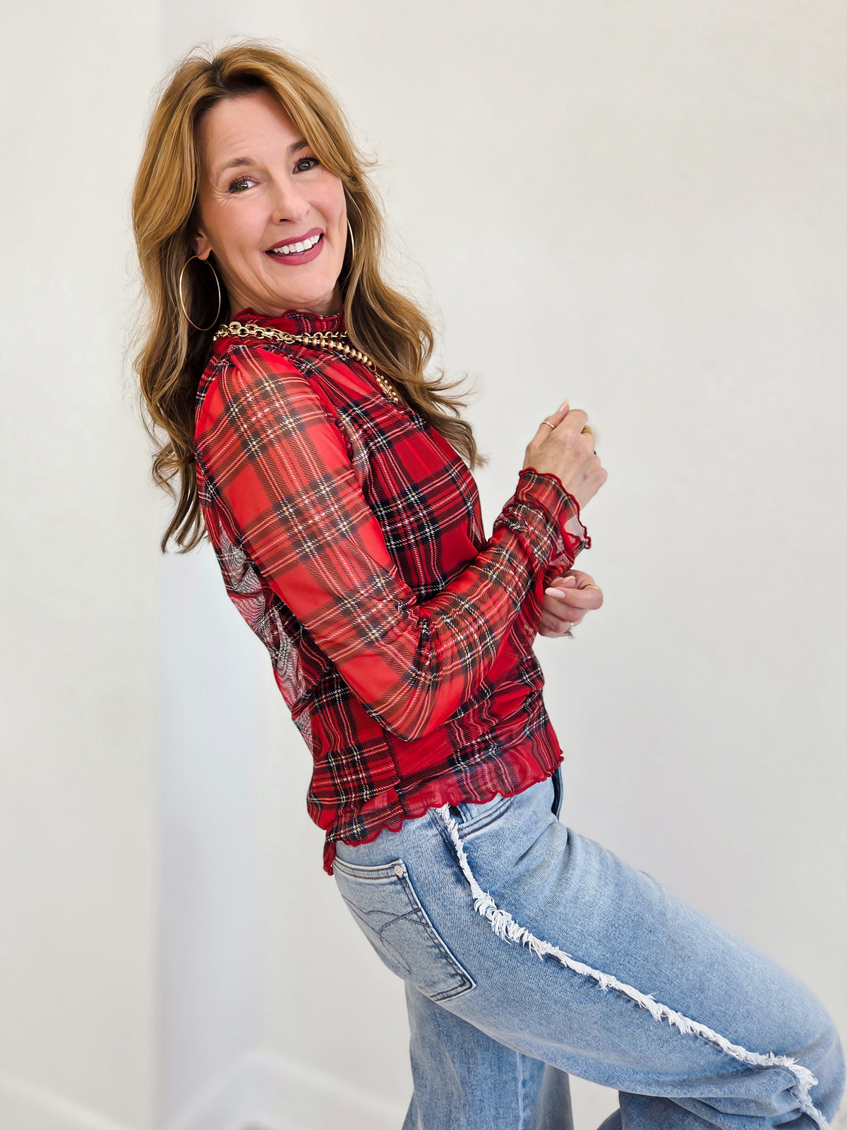 High Neck Long Sleeve Plaid Mesh Sheer Top