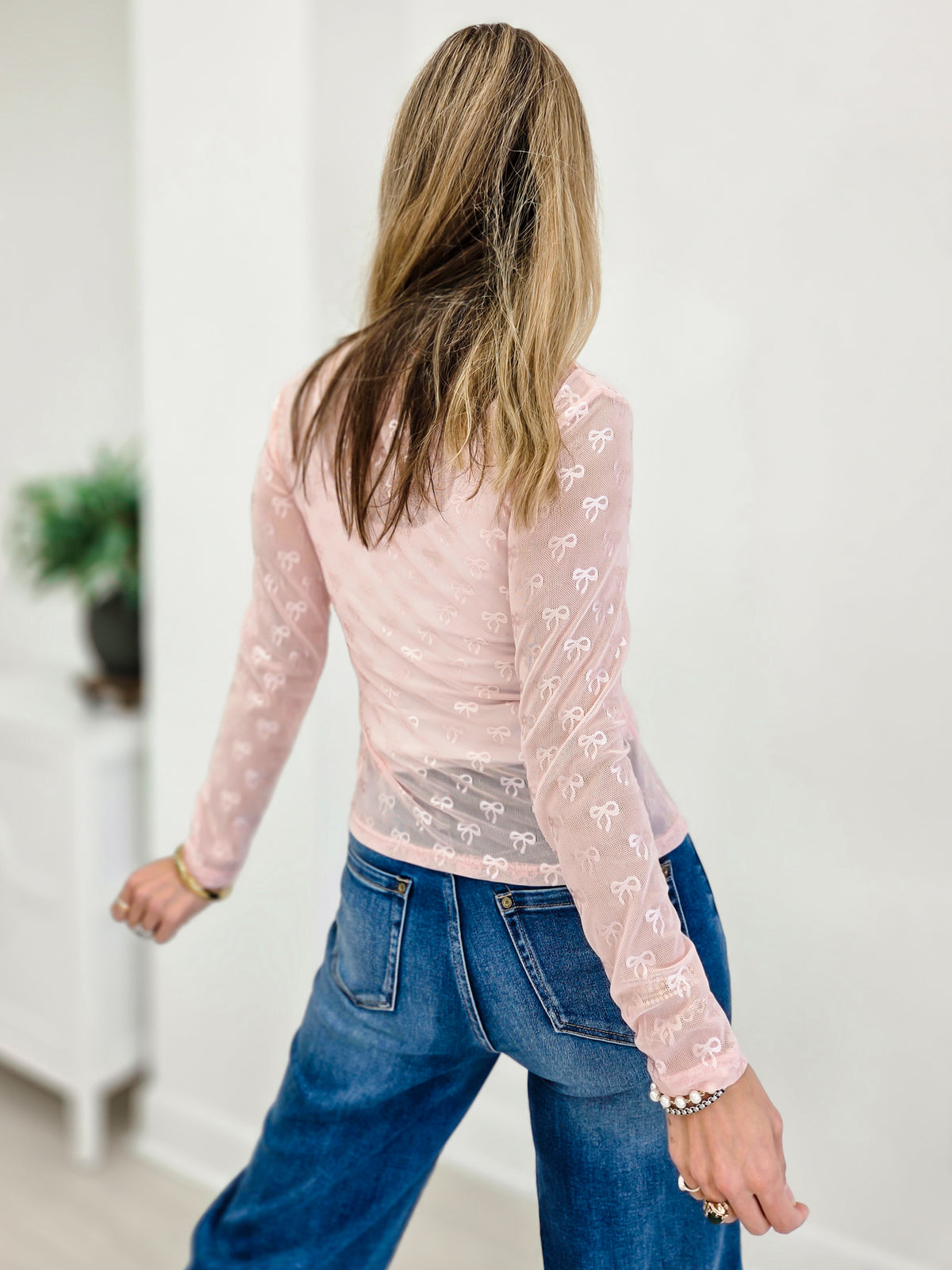 Ribbon Embroidered Long Sleeve Mesh Top