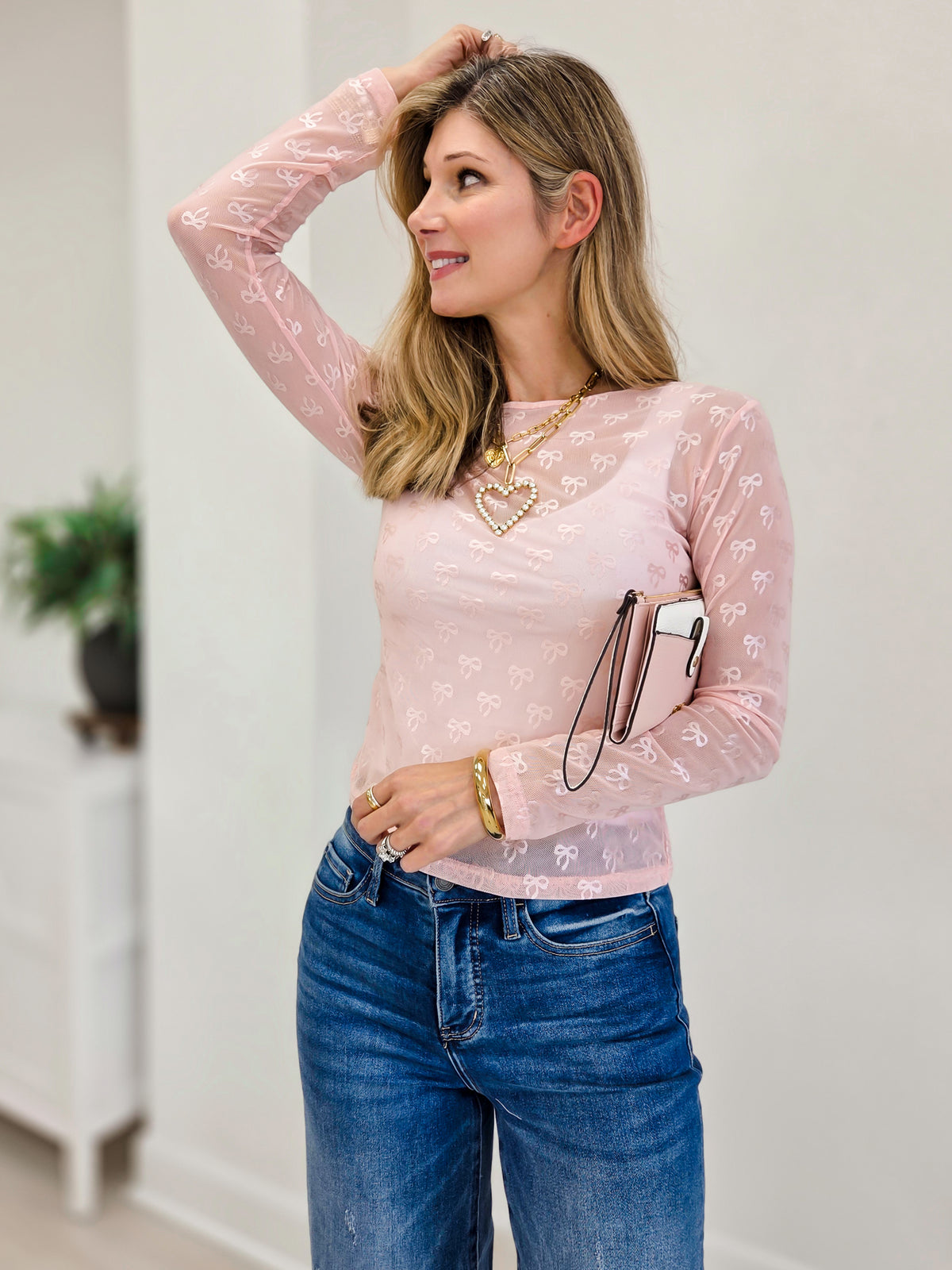 Ribbon Embroidered Long Sleeve Mesh Top