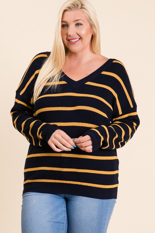 Long Sleeve Varsity Striped V-Neck Sweater