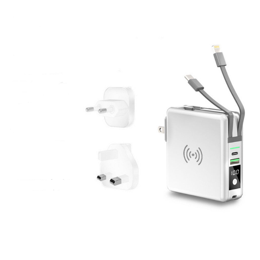 Global Travel Charger