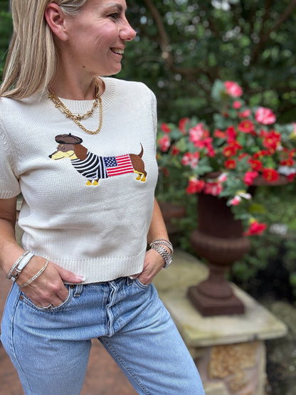 Dachshund 4th Of July Embroidered Sweater