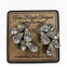 Whispered Elegance Earring in Crystal