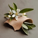Brooklyn-Pura Smart Vial