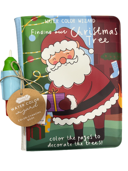 CHRISTMAS WATER COLOR BOOKS