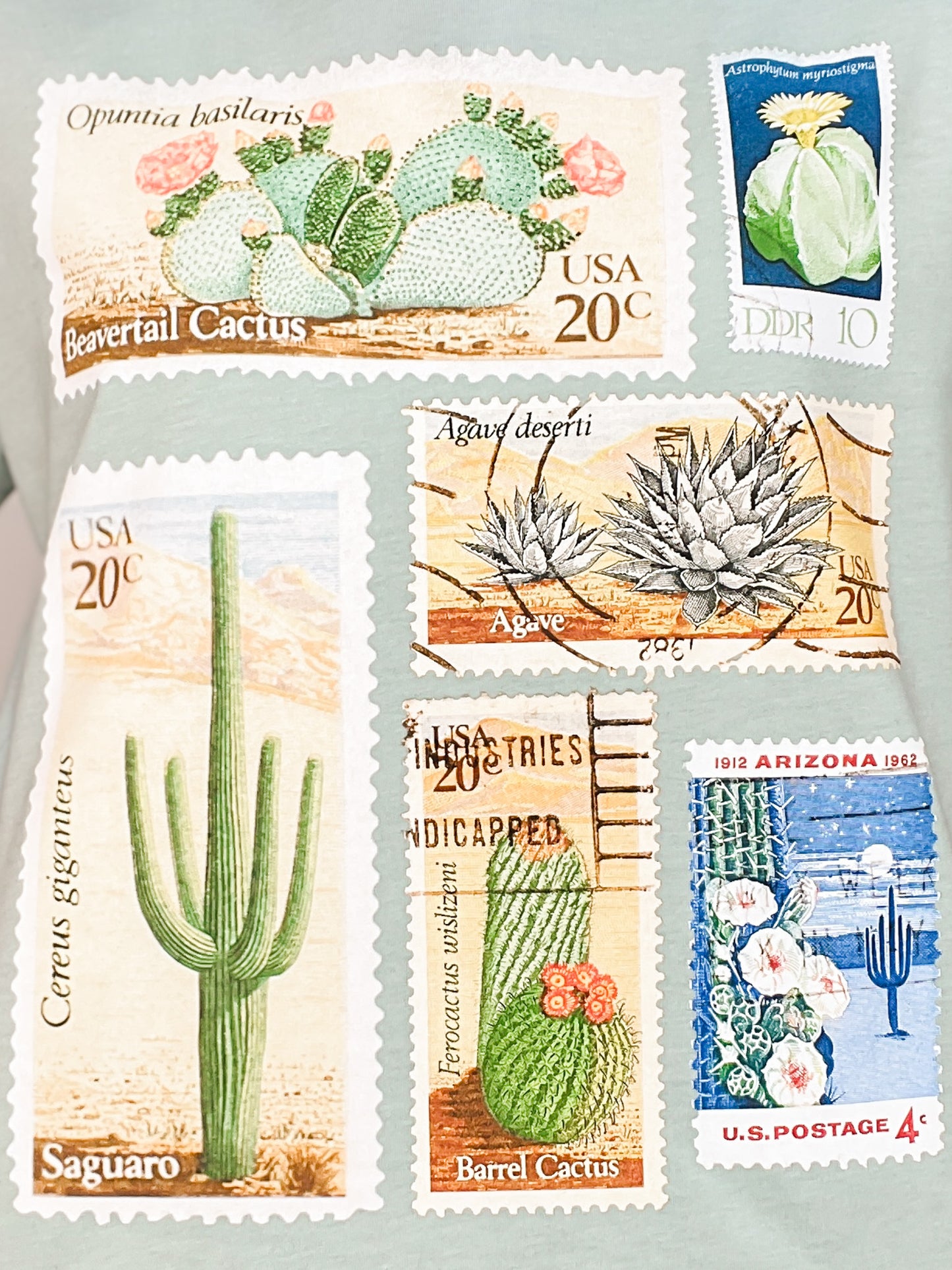 Vintage Cactus Stamps Graphic Tee