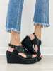 Pierre Dumas FLYNN-4 Wedges in Black