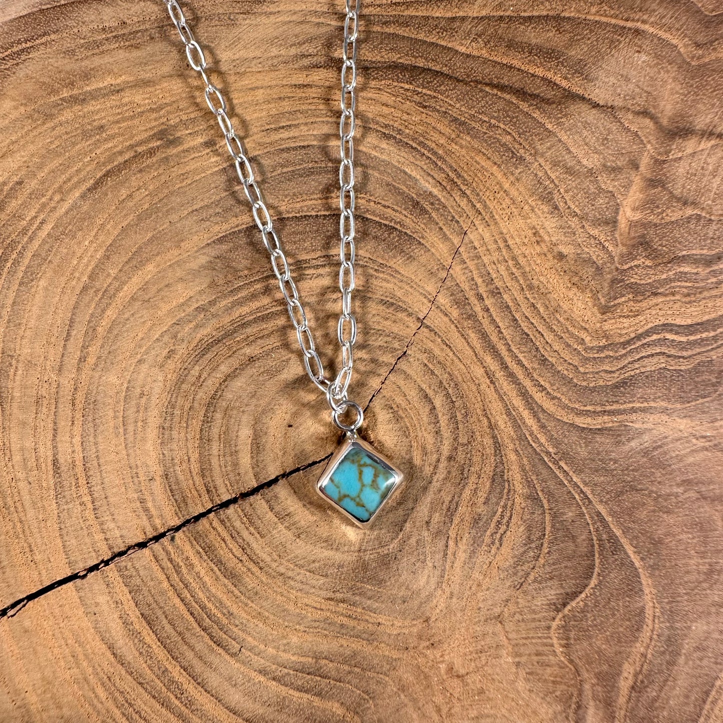 Dainty Turquoise Necklace