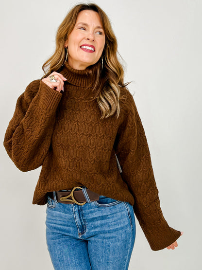 Long Sleeve Solid Knit Turtle Neck Sweater