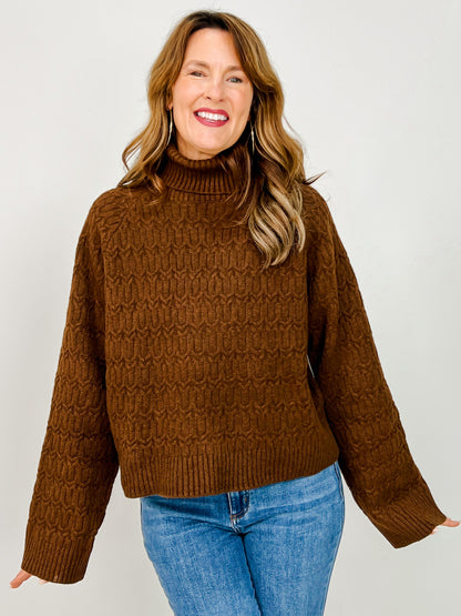 Long Sleeve Solid Knit Turtle Neck Sweater