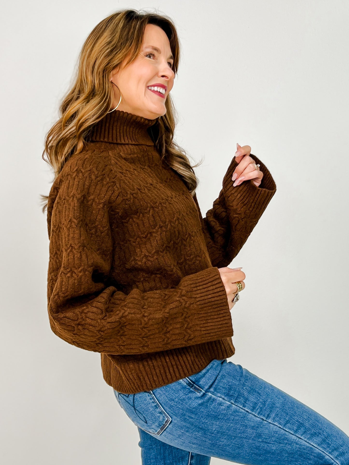 Long Sleeve Solid Knit Turtle Neck Sweater