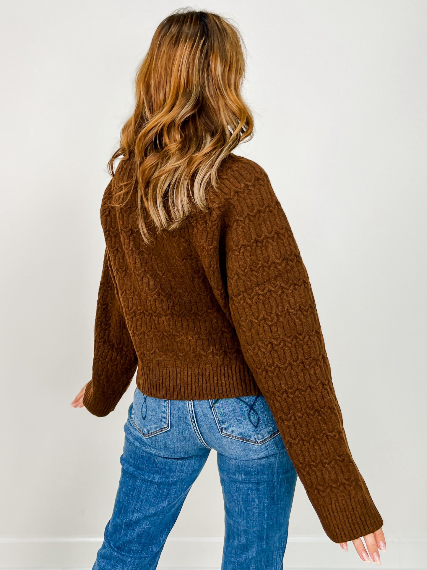 Long Sleeve Solid Knit Turtle Neck Sweater