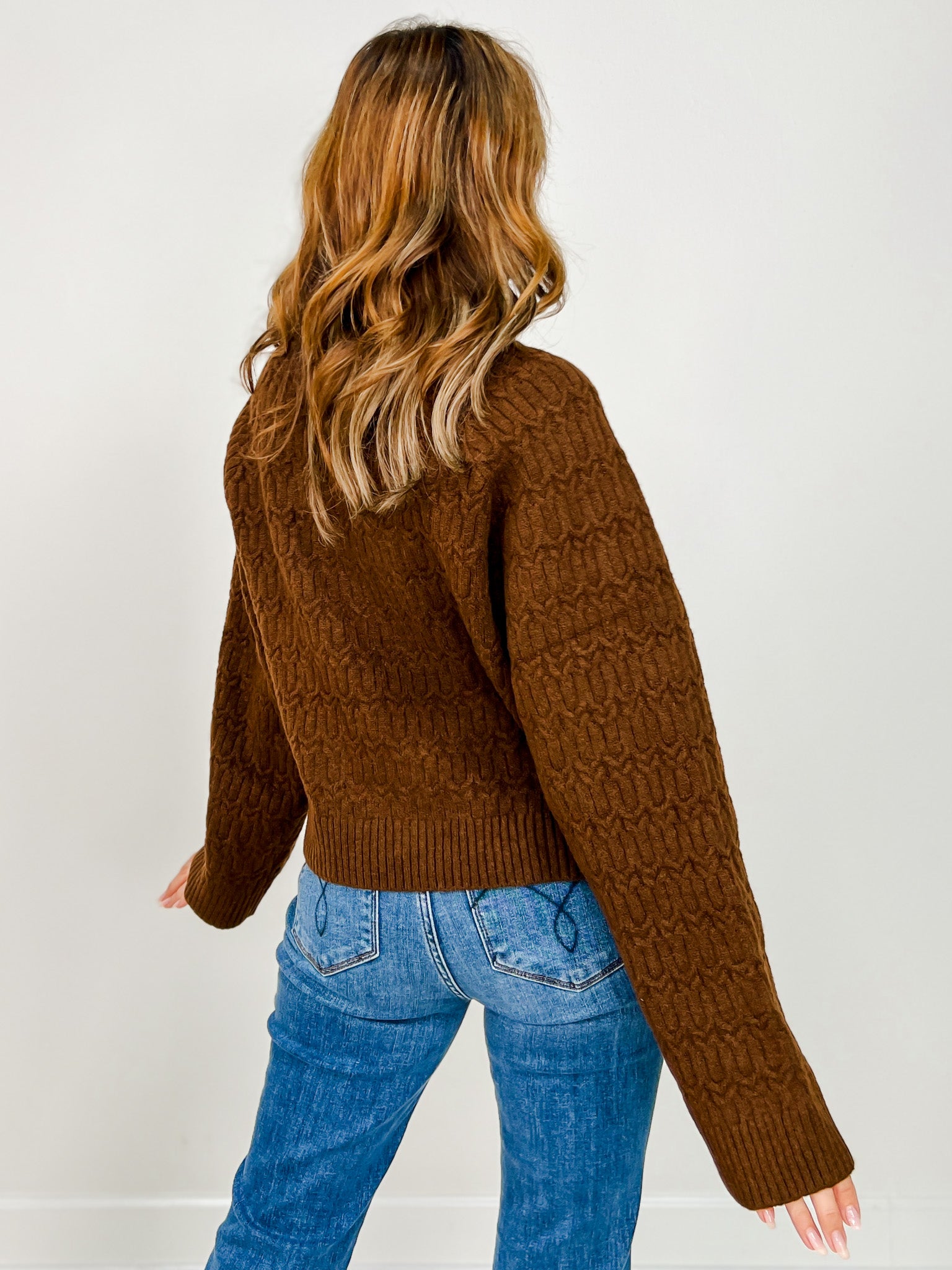 Long Sleeve Solid Knit Turtle Neck Sweater
