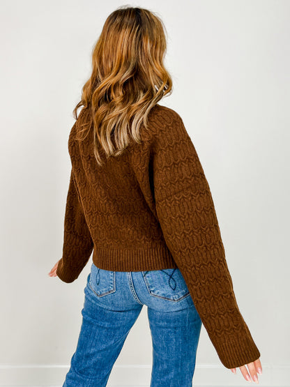 Long Sleeve Solid Knit Turtle Neck Sweater