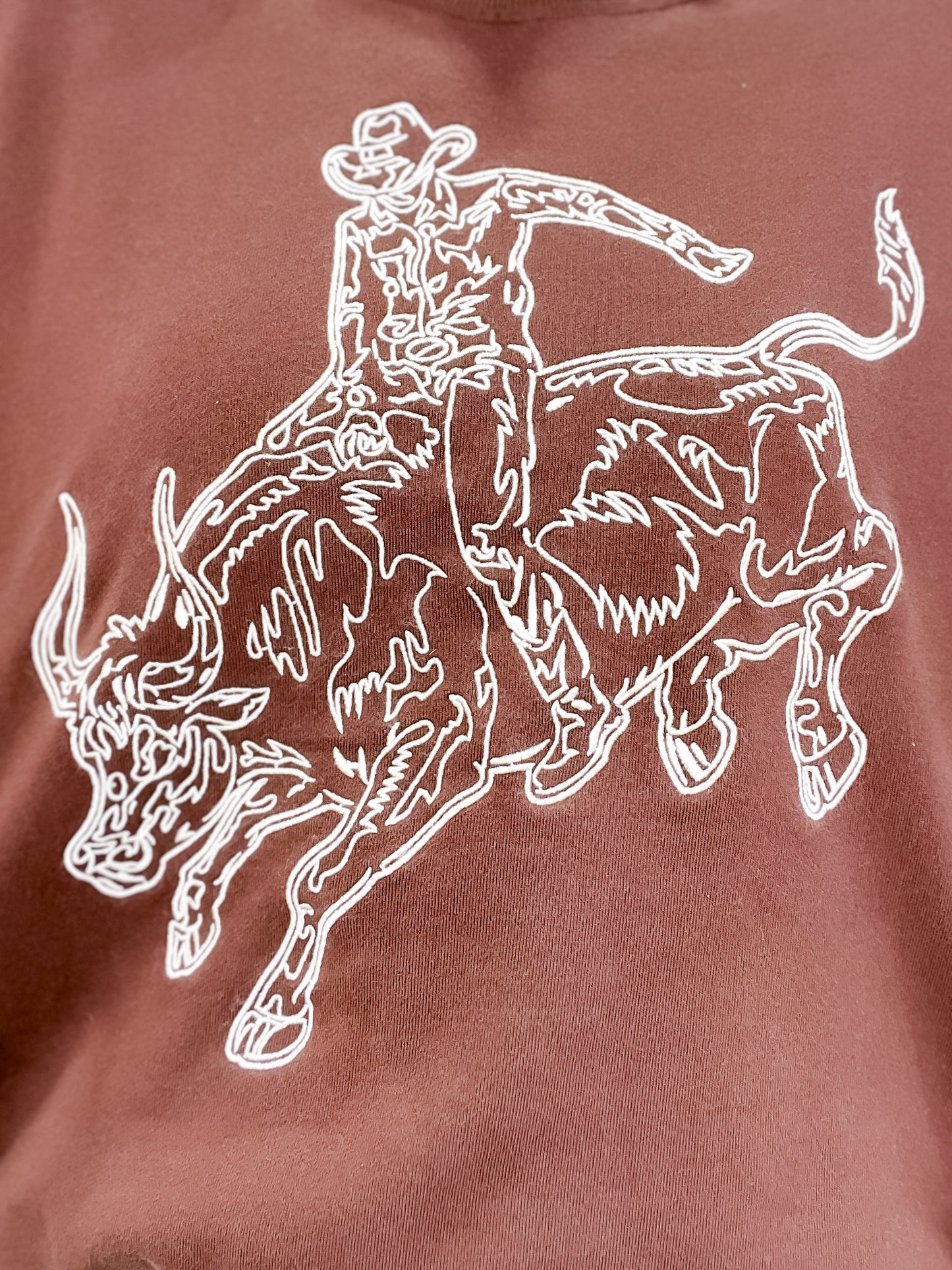 Embroidered Western Pullover Sweatshirt