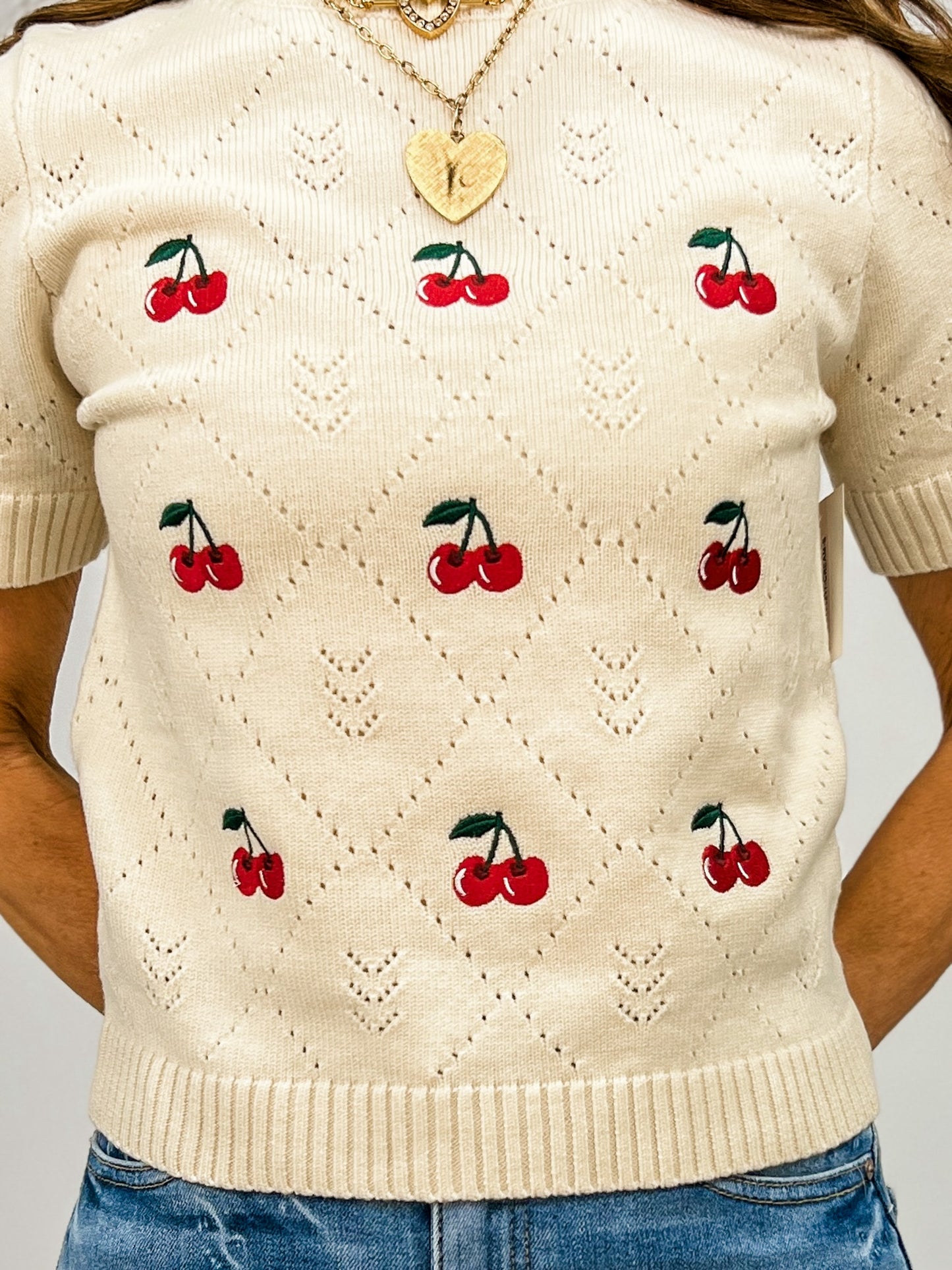 Short Sleeve Cherry Embroidered Cropped Sweater