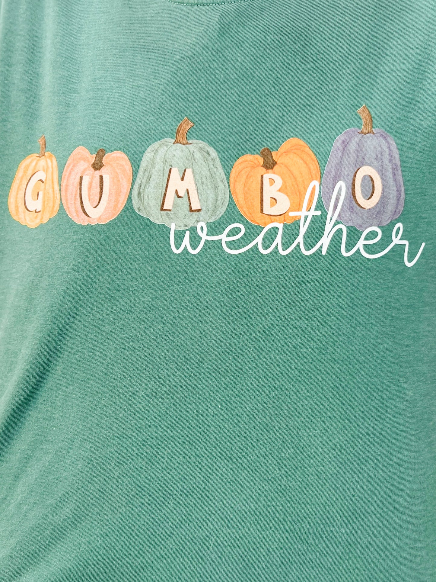 Gumbo Weather Graphic Tee