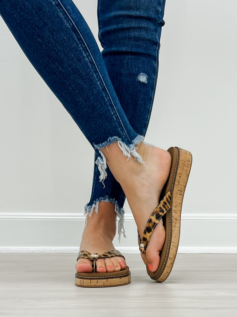 files/IMG_4835_6743bc66-be11-4027-b557-339da744bfad.jpg