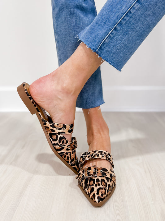 Pointed Slip On Flat Shoe with Buckle in Leopard