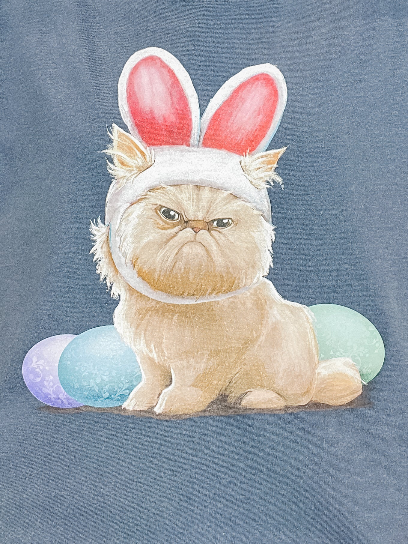 Puff Daddy Bunny Graphic Top
