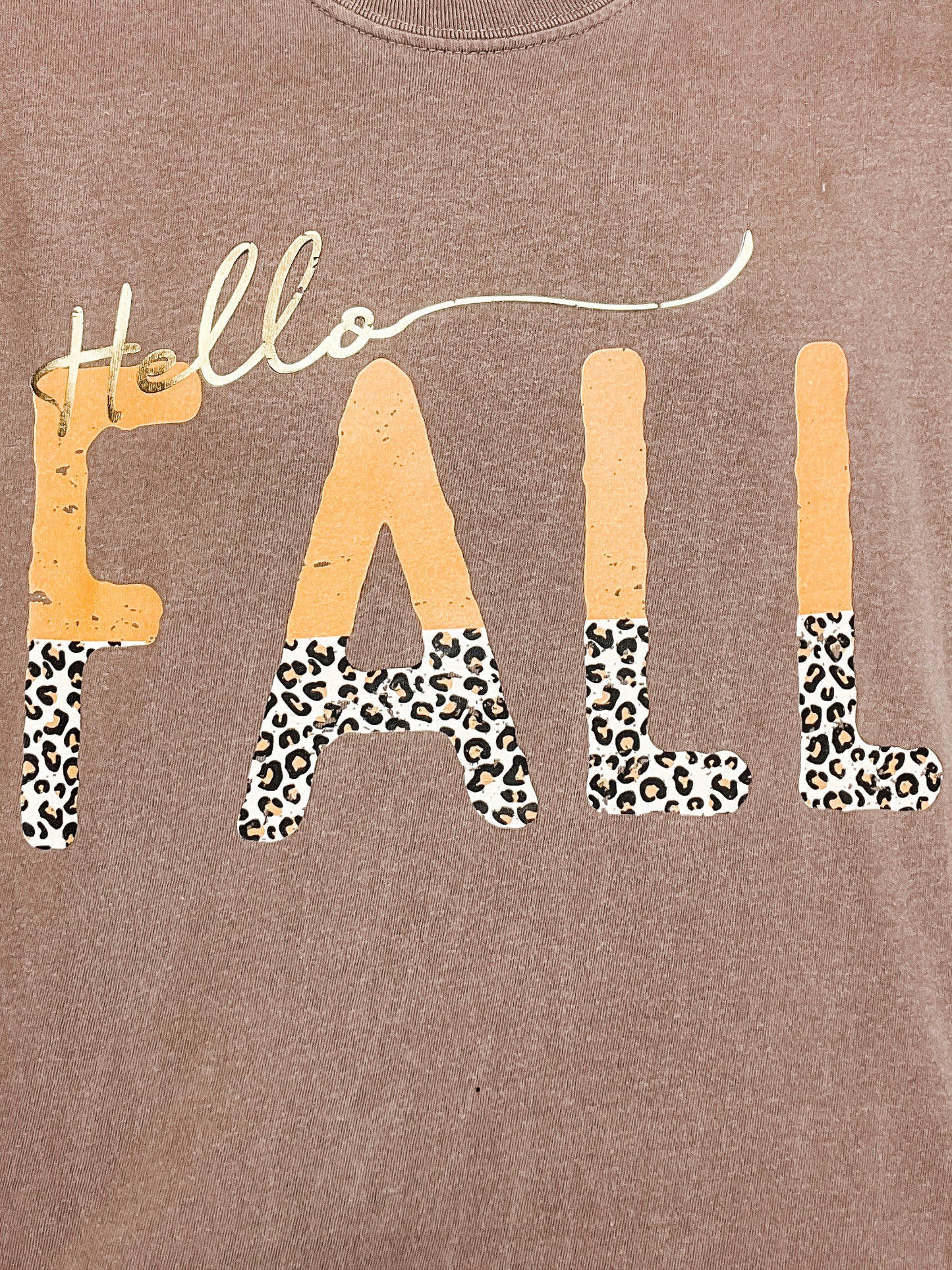 Hello Fall Gold Foil Graphic Top