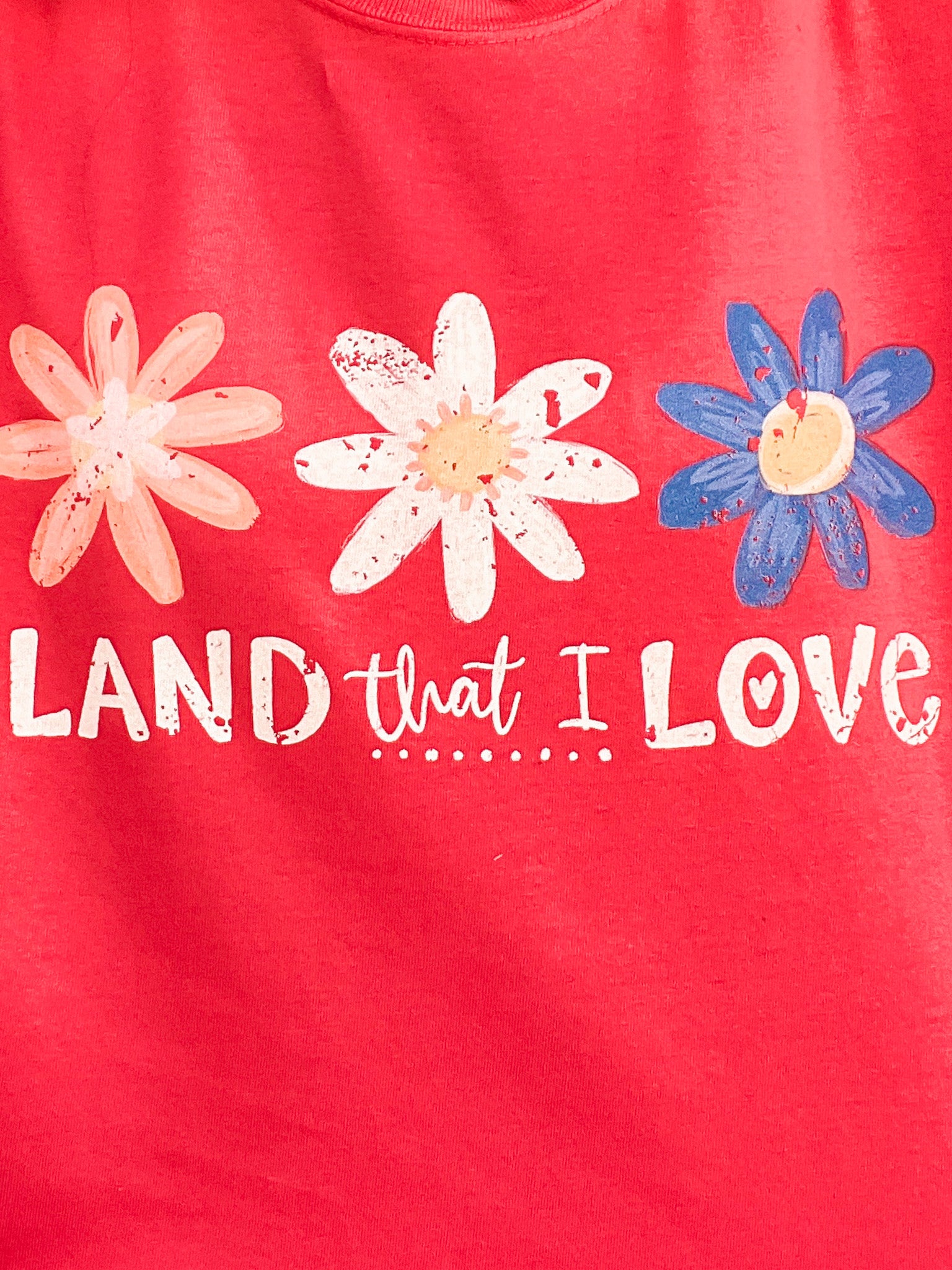 Land That I Love Graphic Tee