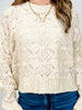 Open Knit Long Sleeve Sweater with Round Neckline