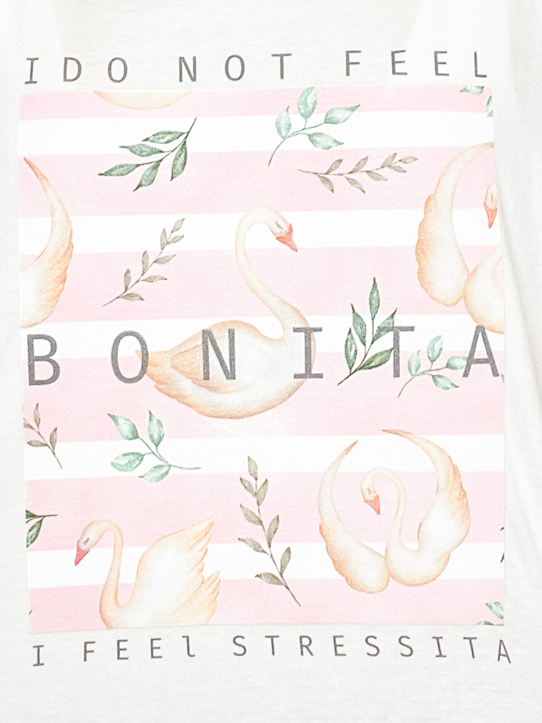 I Do Not Feel Bonita I Feel Stressita Graphic Tee