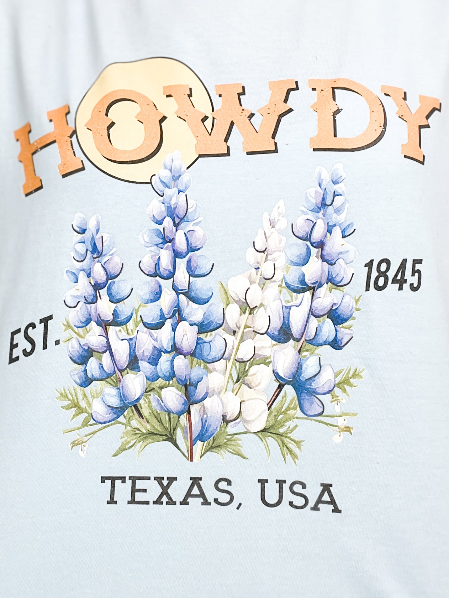 Howdy Bluebonnets Graphic Tee