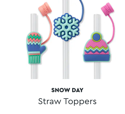 Snow Day Swig Collection