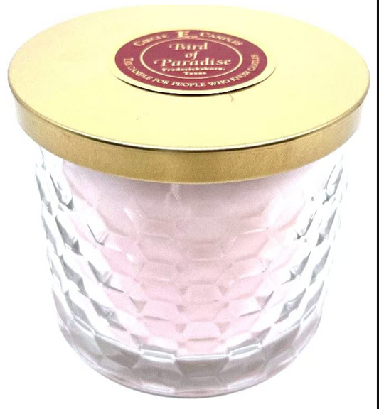 Circle E Candles - Medium Size Jar Candle, 17oz - BEST SELLERS