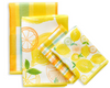Werkshoppe Lemon Plaid Kitchen Collection