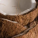 files/coconut-2-resized_7c4c249d-1b97-4a30-9ddd-f1cb5be7b534.webp