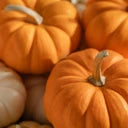 Pumpkin Picking-Pura Smart Vial