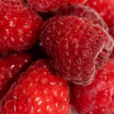 files/raspberries-4.webp