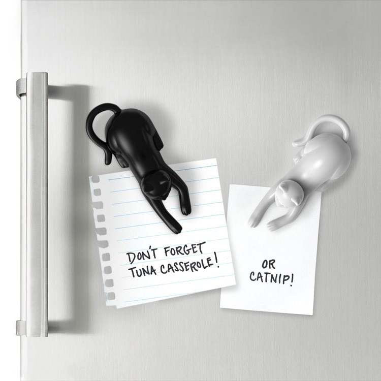 Cat Magnetic Set