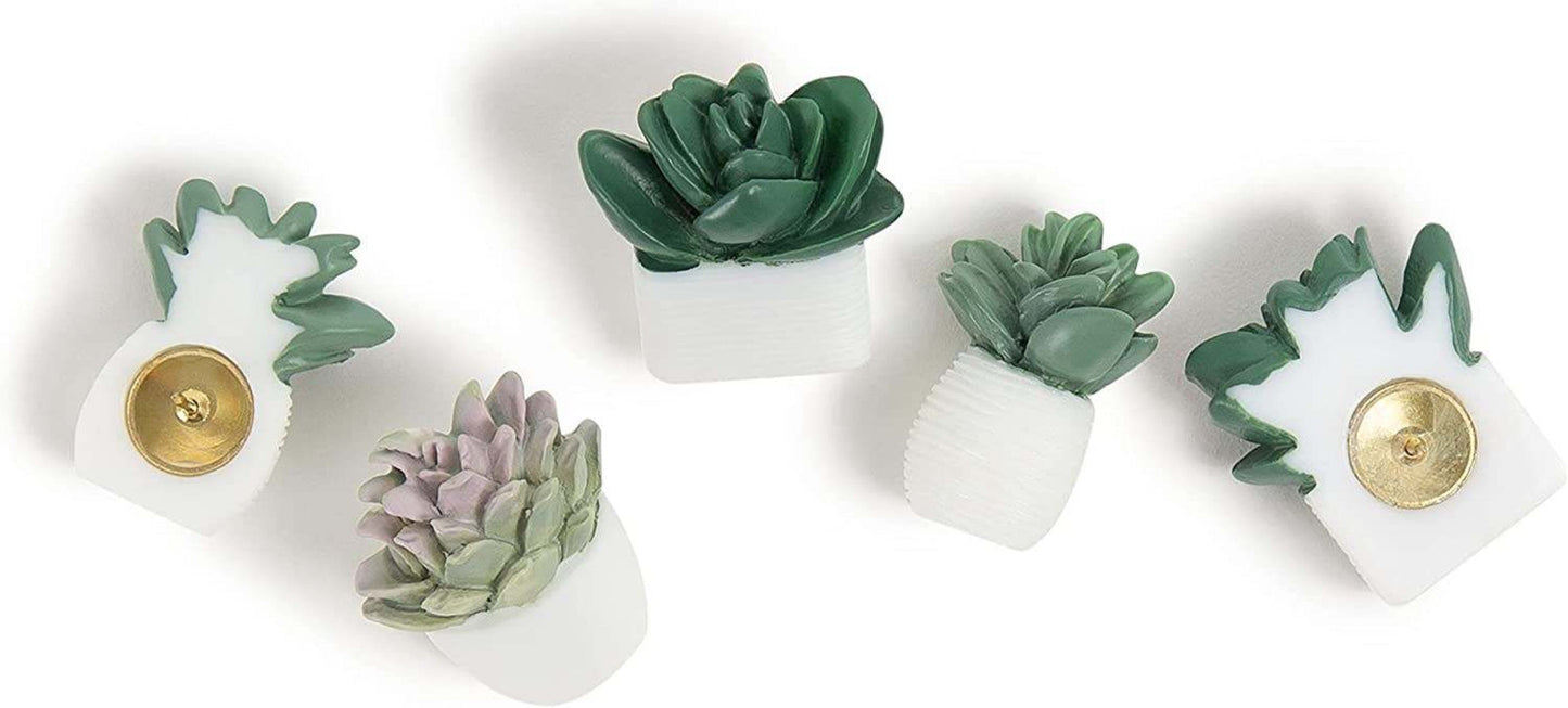 Succulent Push Pins