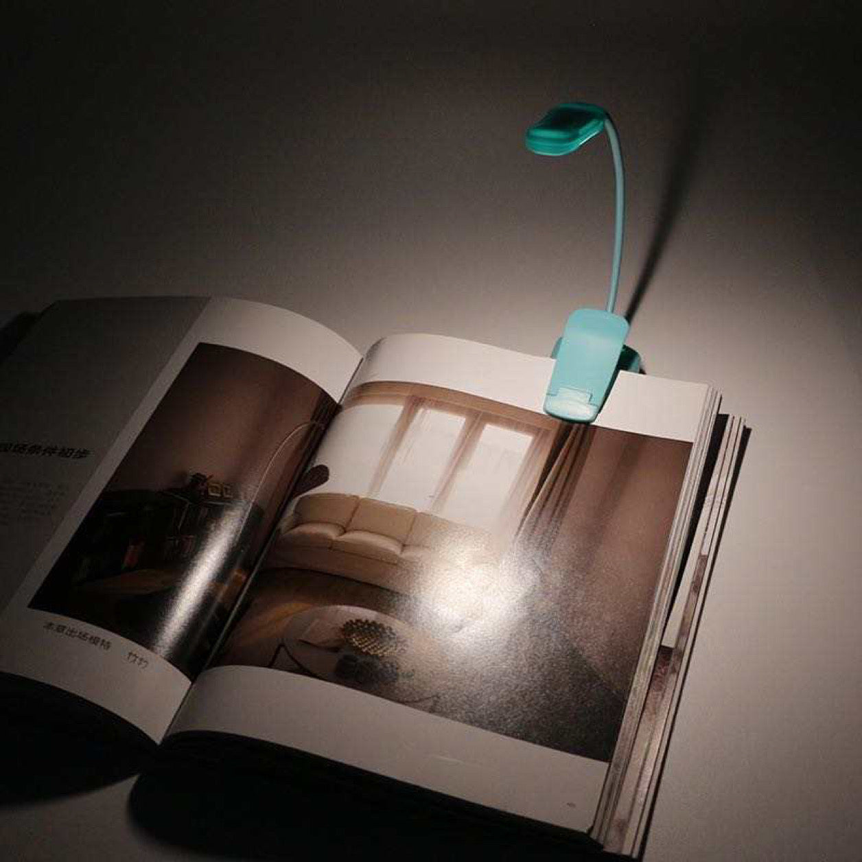 Book Light