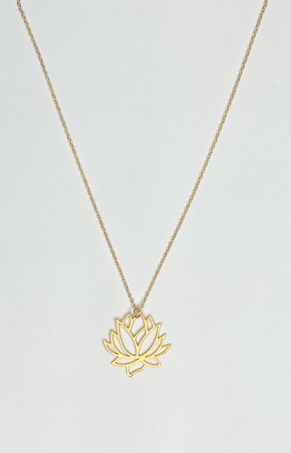 https://s3.commentsold.com/rush/products/k7hfRTAcwJUpj5i7wtnRcG7p8BCHLtcGgiCHSUNA.jpg